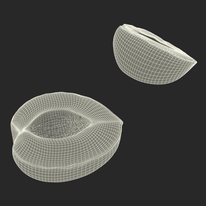 3D Apricot Cross Section 2 model