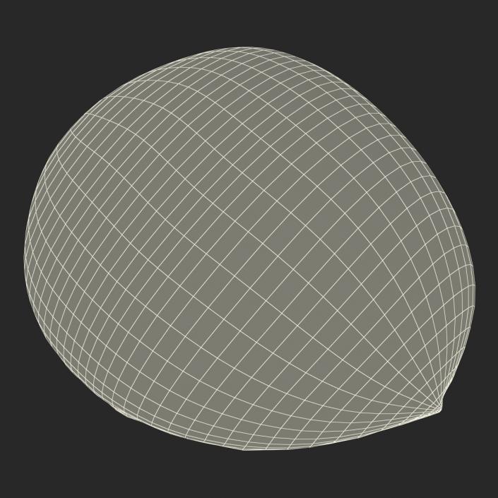 3D Apricot Cross Section 2 model