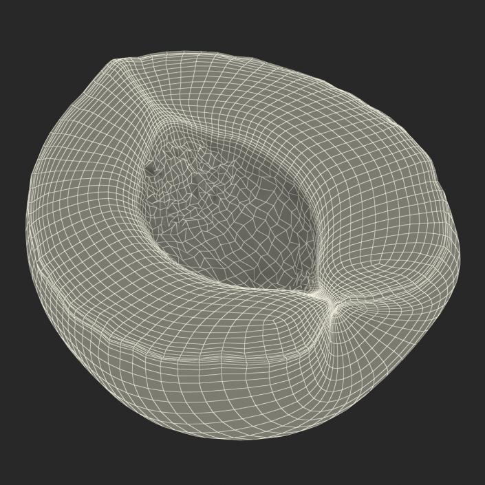 3D Apricot Cross Section 2 model