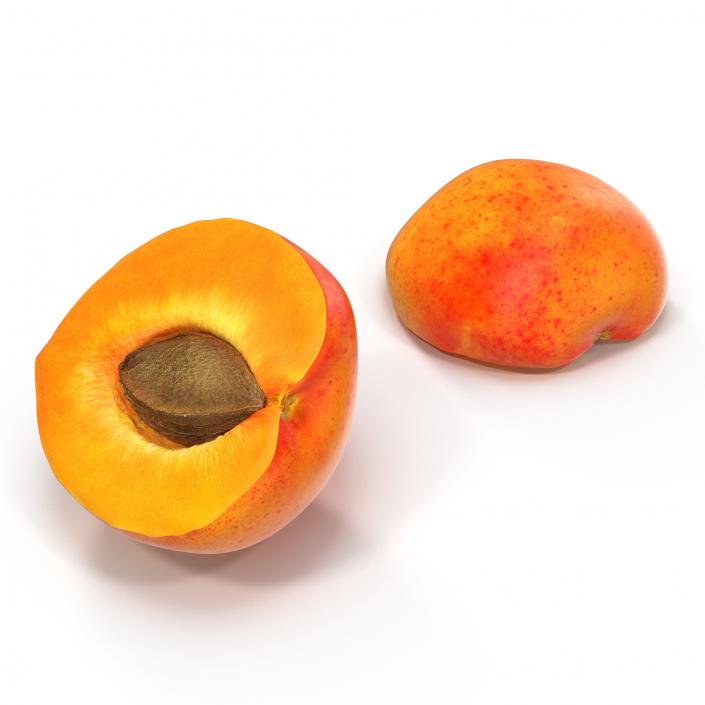 3D Apricot Cross Section 3 model