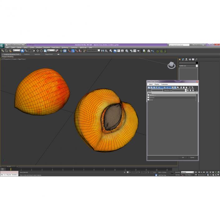 3D Apricot Cross Section 3 model