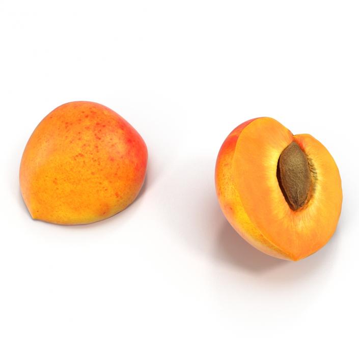 3D Apricot Cross Section 3 model