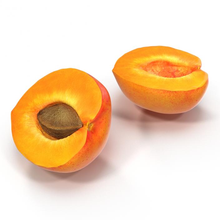 3D Apricot Cross Section 3 model