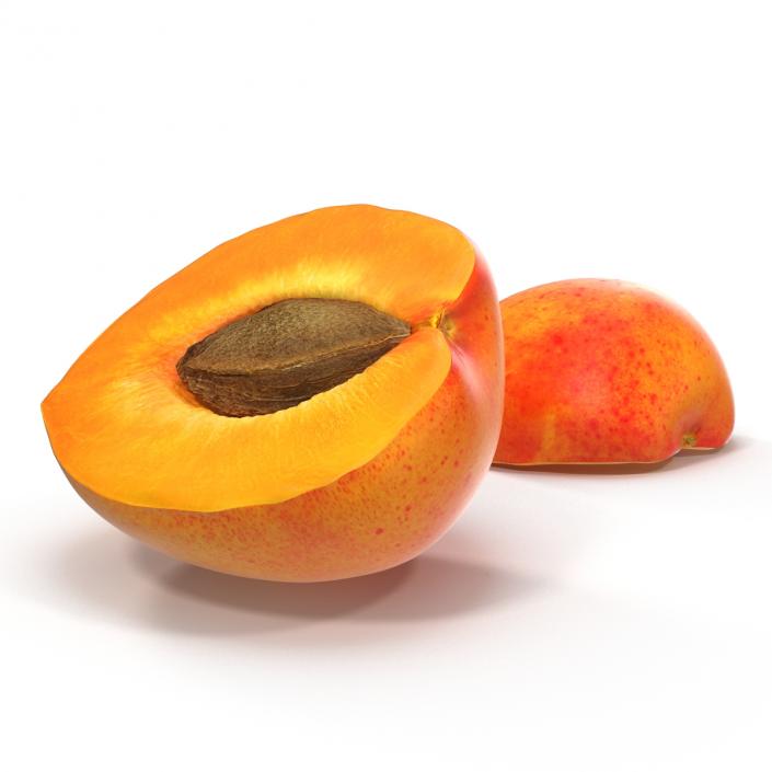 3D Apricot Cross Section 3 model