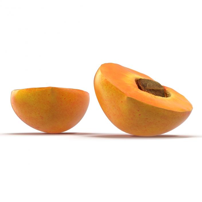 3D Apricot Cross Section 3 model