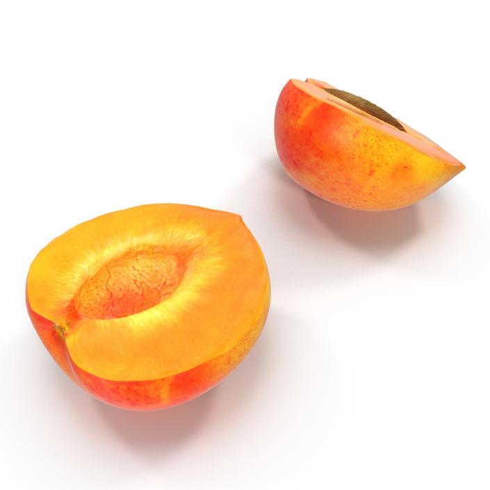 3D Apricot Cross Section 3 model