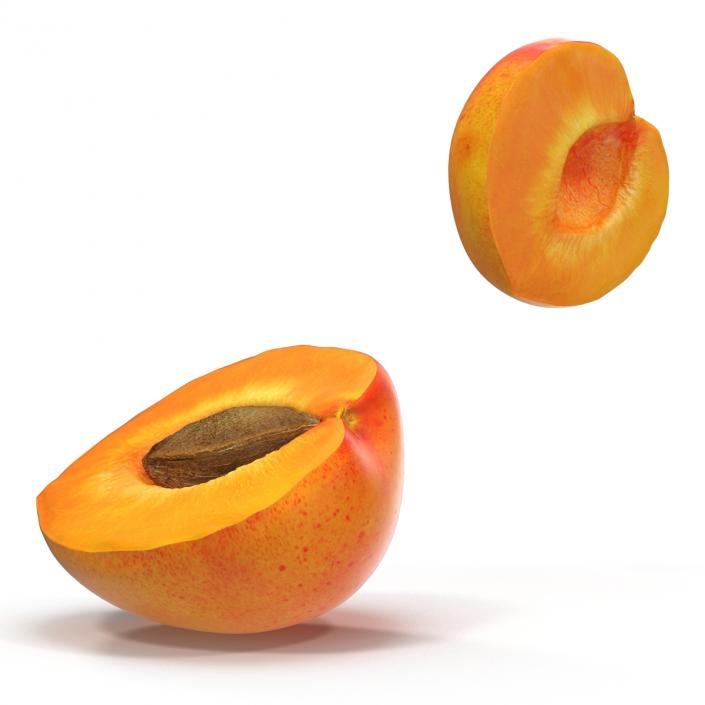 3D Apricot Cross Section 3 model