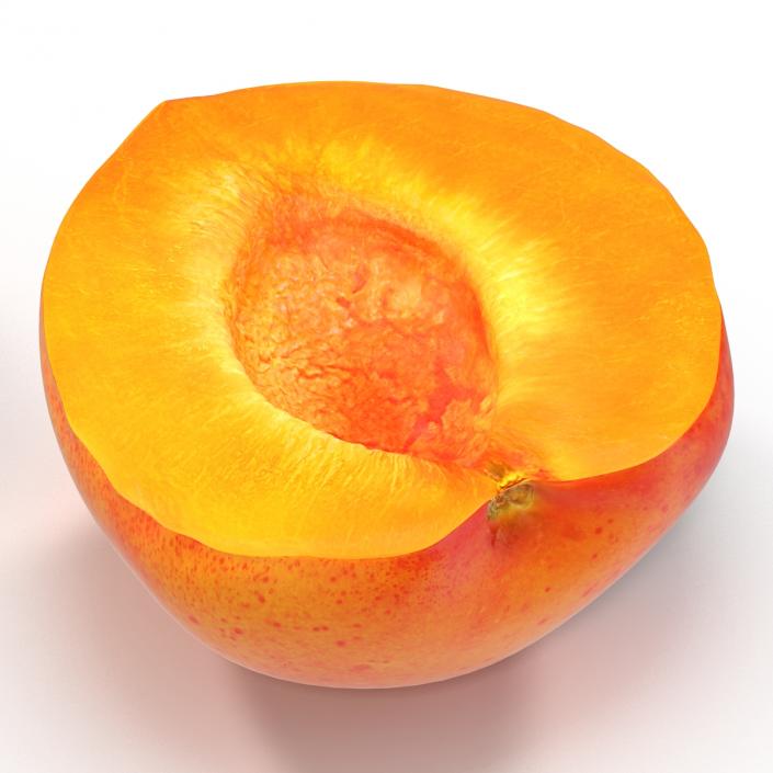 3D Apricot Cross Section 3 model