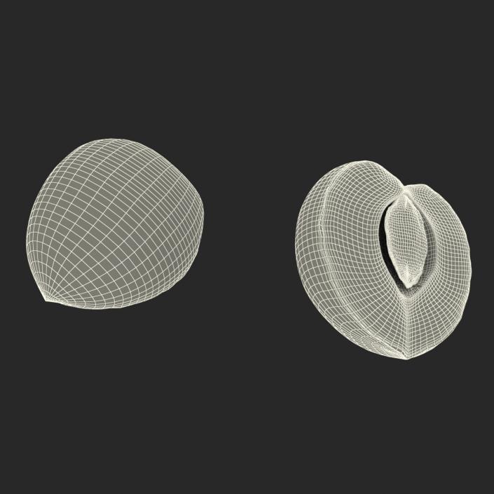 3D Apricot Cross Section 3 model