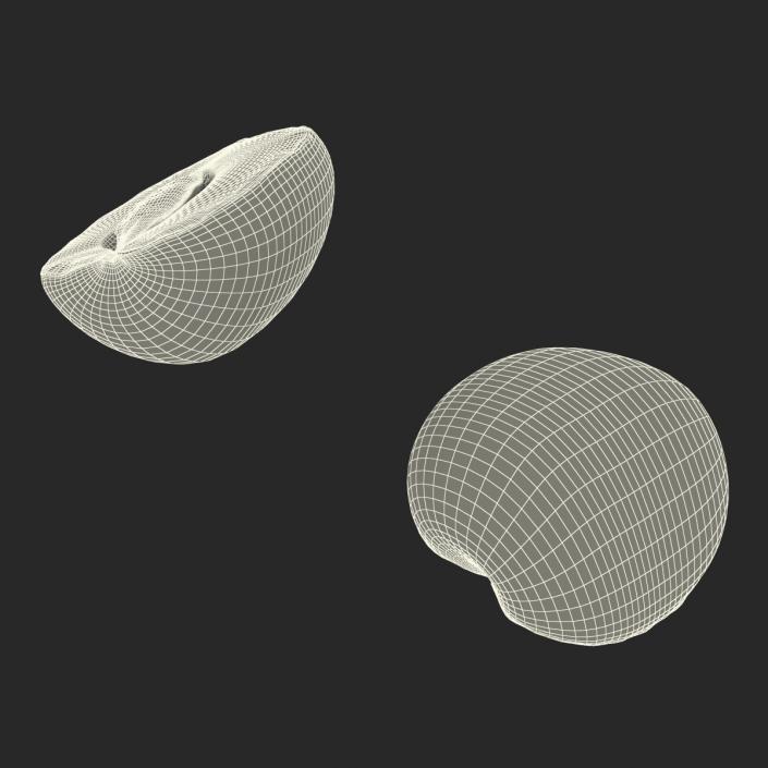 3D Apricot Cross Section 3 model