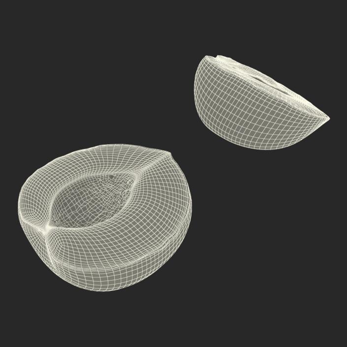 3D Apricot Cross Section 3 model