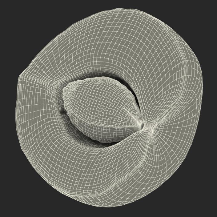 3D Apricot Cross Section 3 model