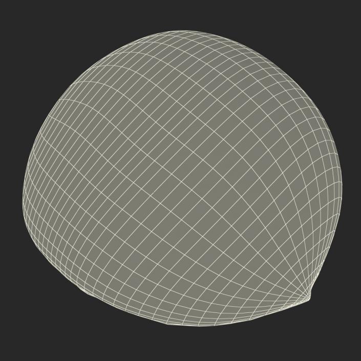 3D Apricot Cross Section 3 model