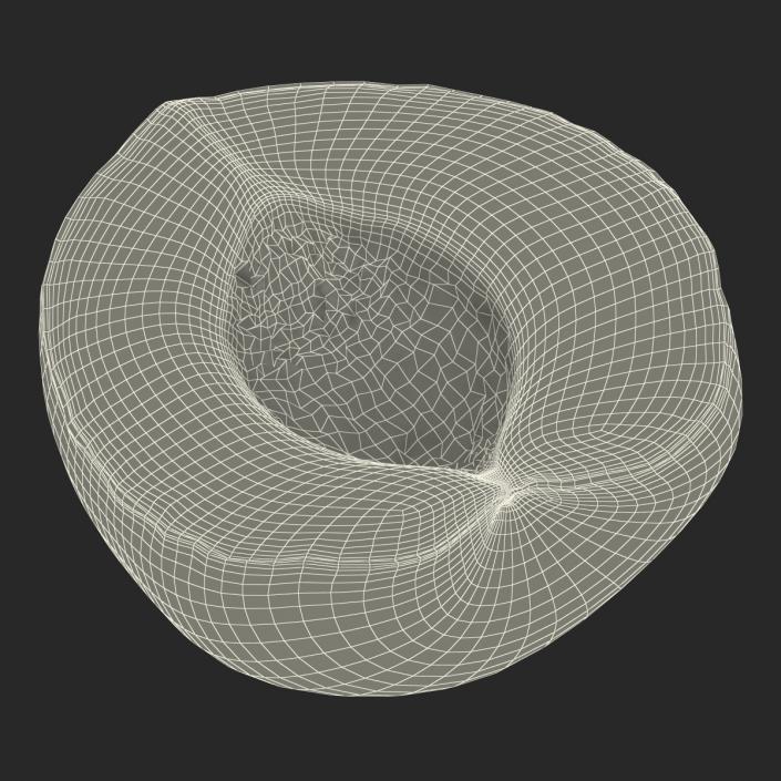 3D Apricot Cross Section 3 model