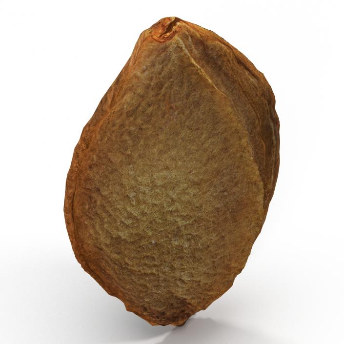 Apricot Kernel 3D model