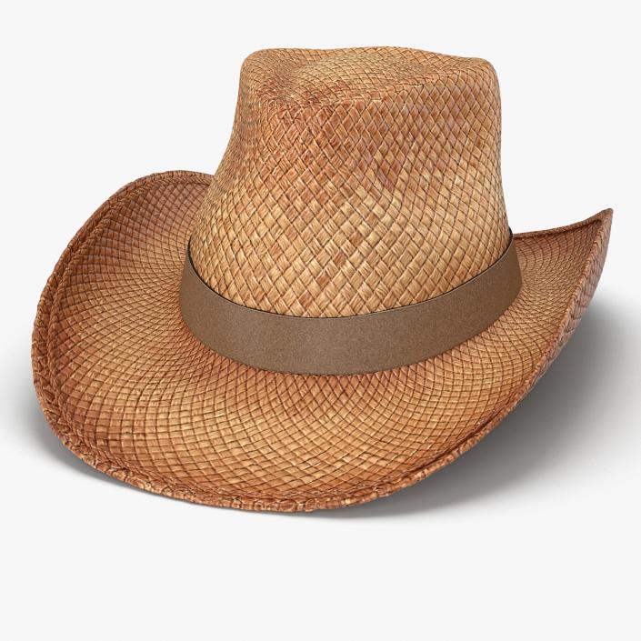 3D Straw Cowboy Hat