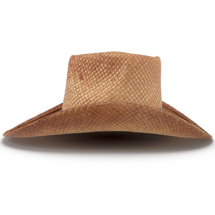 3D Straw Cowboy Hat