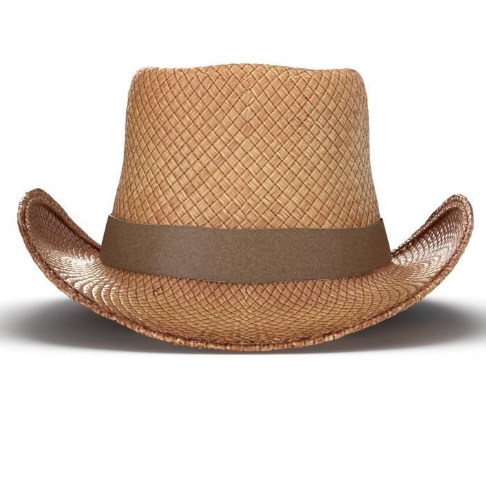 3D Straw Cowboy Hat