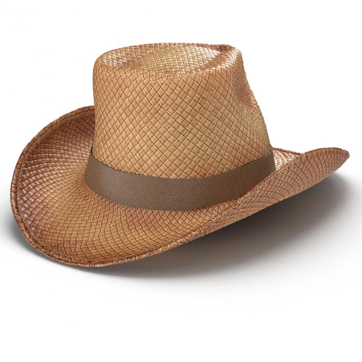 3D Straw Cowboy Hat