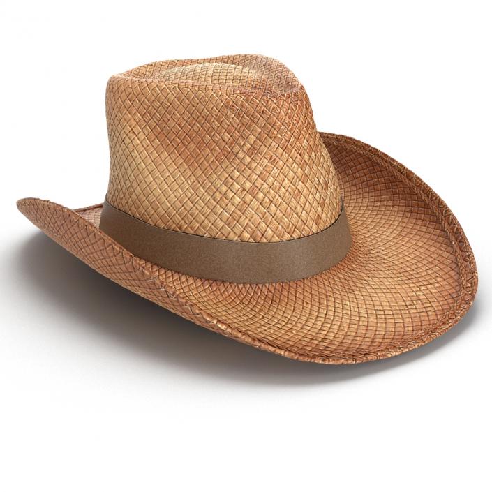 3D Straw Cowboy Hat