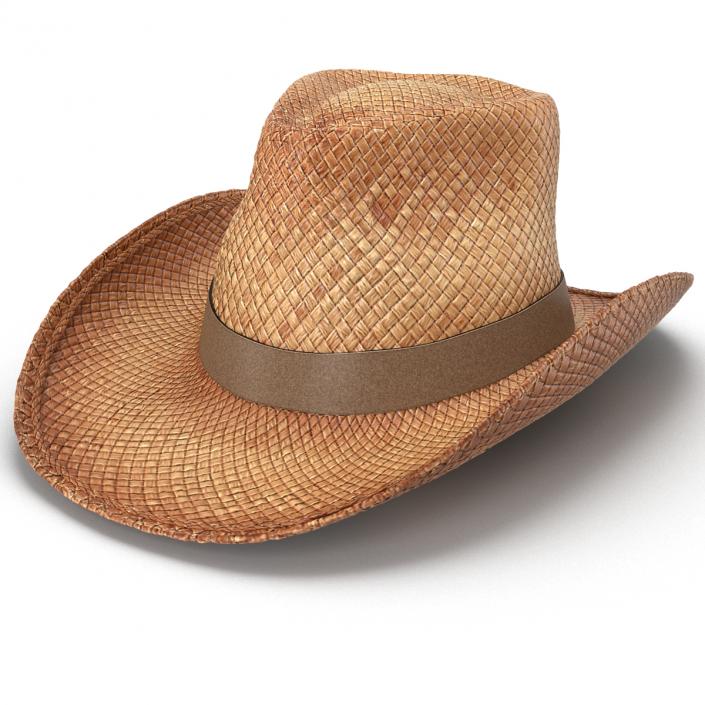 3D Straw Cowboy Hat