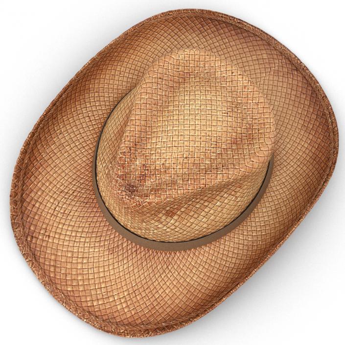 3D Straw Cowboy Hat