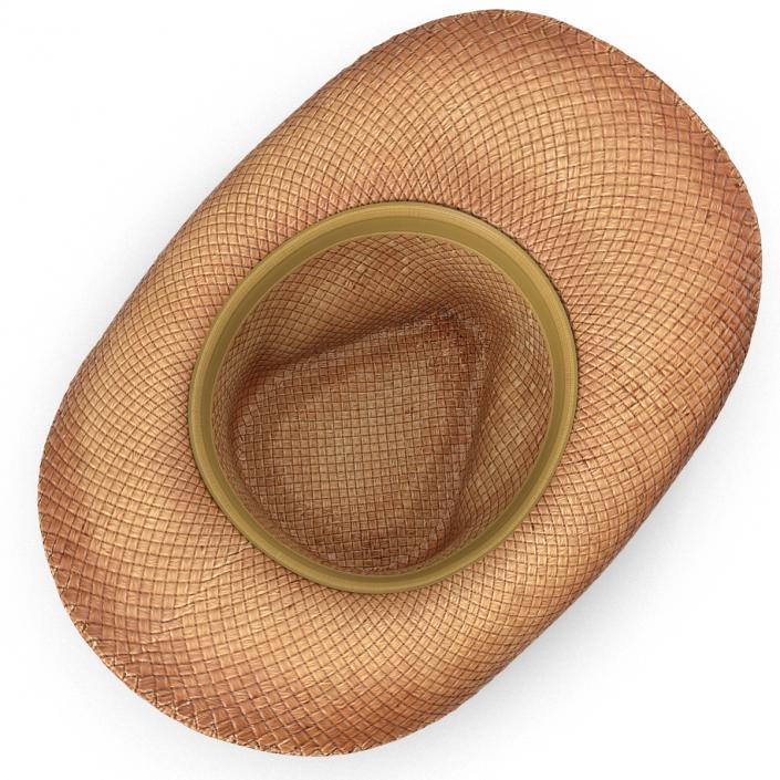 3D Straw Cowboy Hat