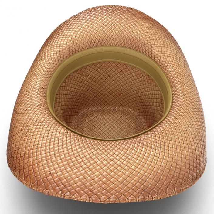 3D Straw Cowboy Hat