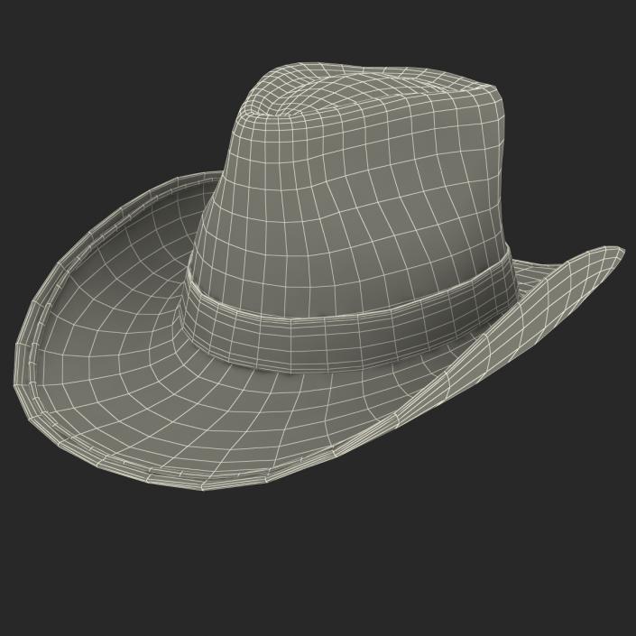 3D Straw Cowboy Hat