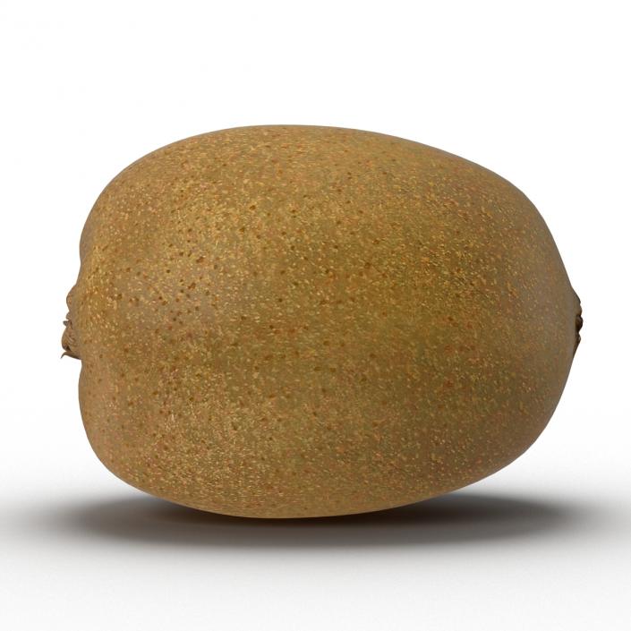 3D model Kiwi