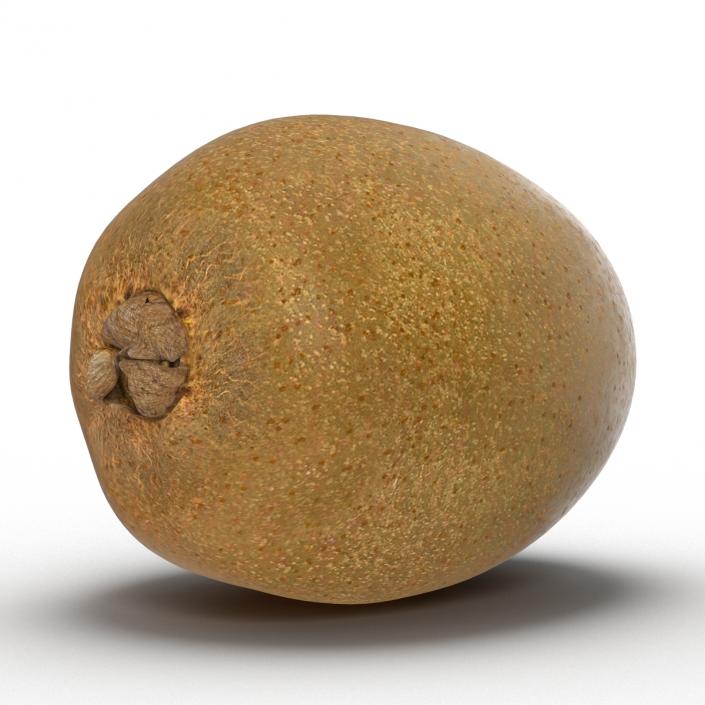 3D model Kiwi