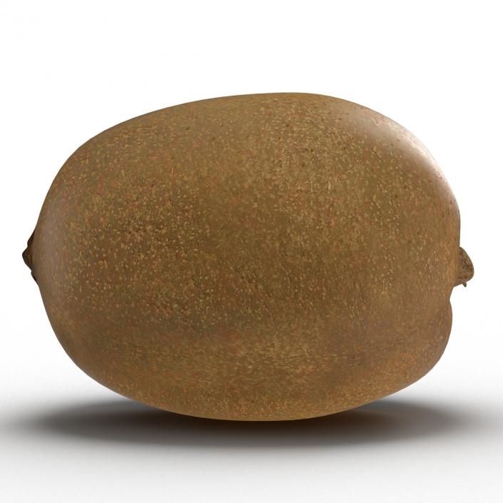 3D model Kiwi