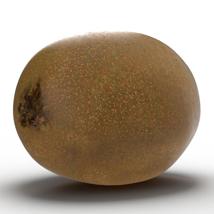 3D model Kiwi