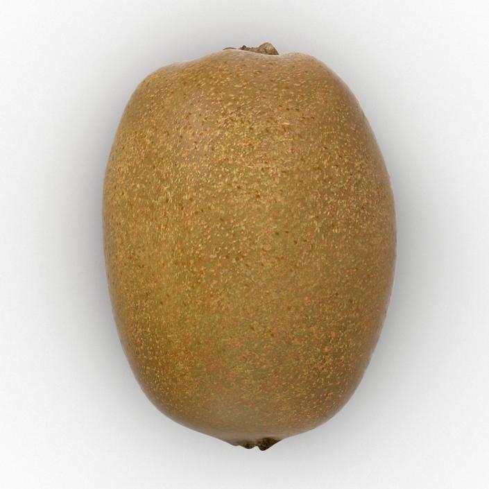 3D model Kiwi