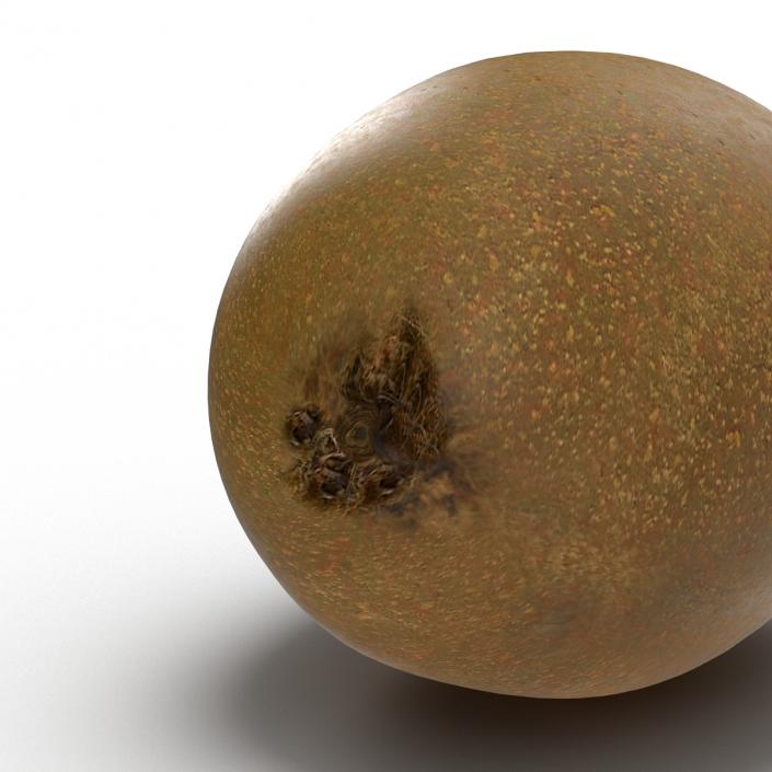 3D model Kiwi