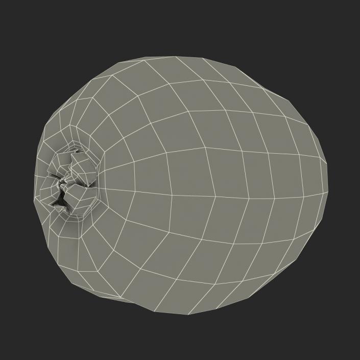 3D model Kiwi