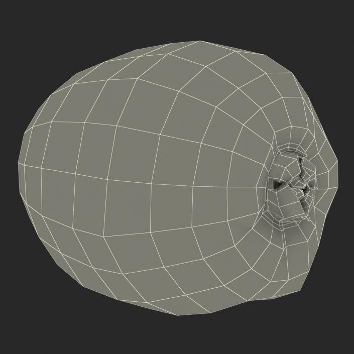 3D model Kiwi