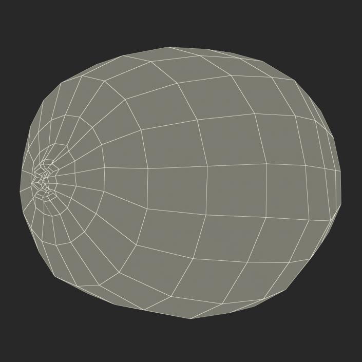 3D model Kiwi