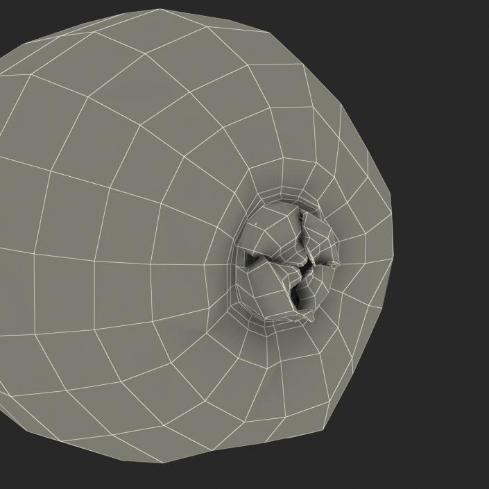 3D model Kiwi