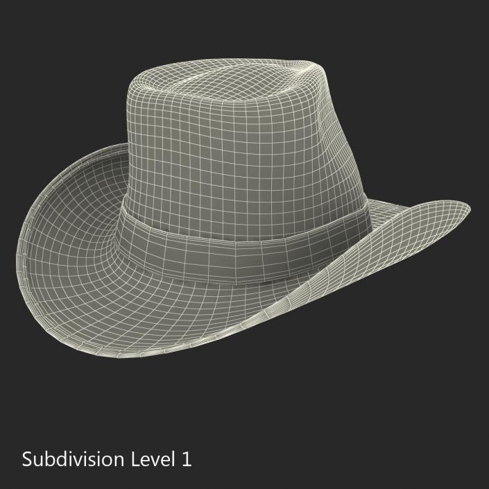 3D Straw Cowboy Hat