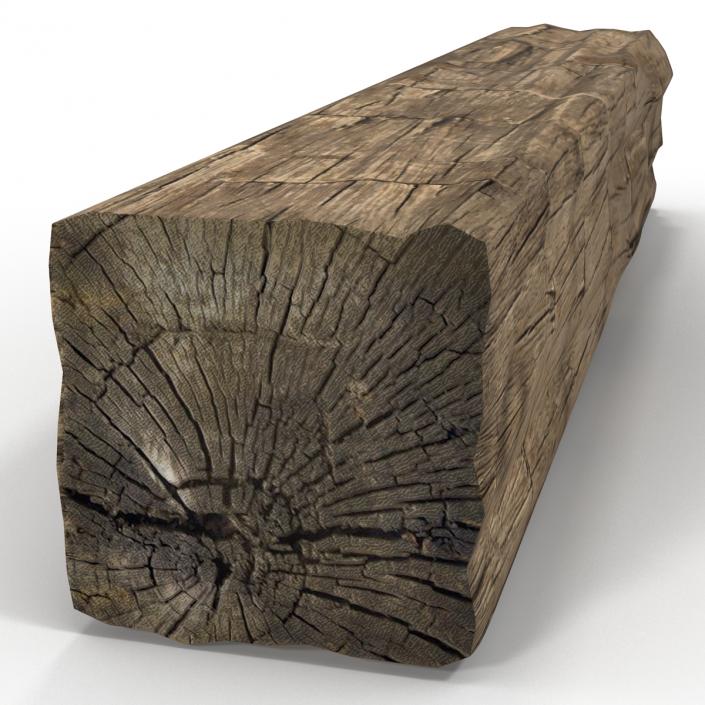 Old Wood Log 3D