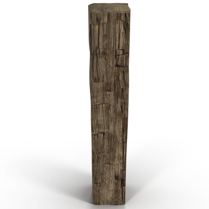 Old Wood Log 3D