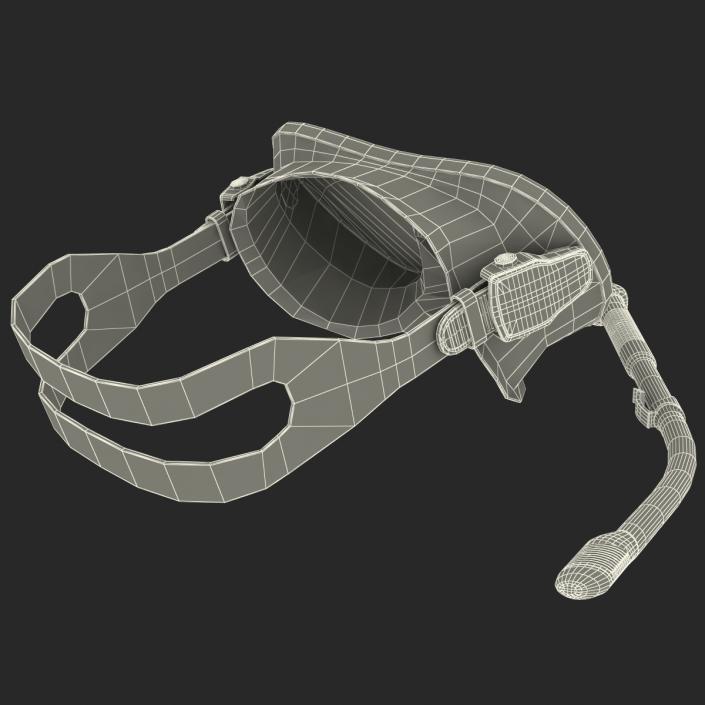 Scuba Mask and Snorkel 3D