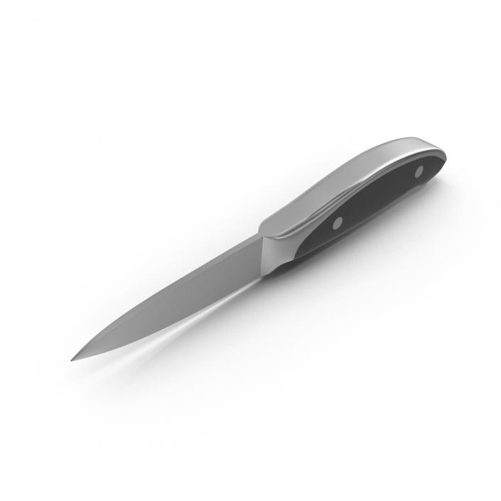 Paring Knife 3D