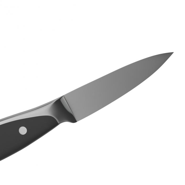 Paring Knife 3D