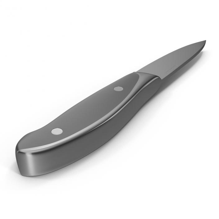 Paring Knife 3D