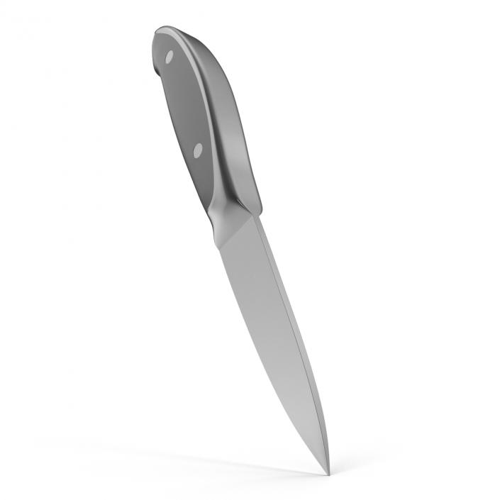 Paring Knife 3D