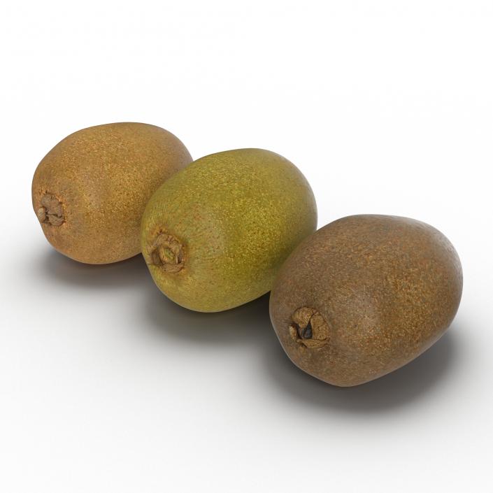 3D model Kiwi Collection