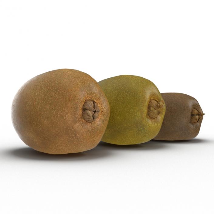 3D model Kiwi Collection