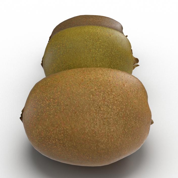 3D model Kiwi Collection